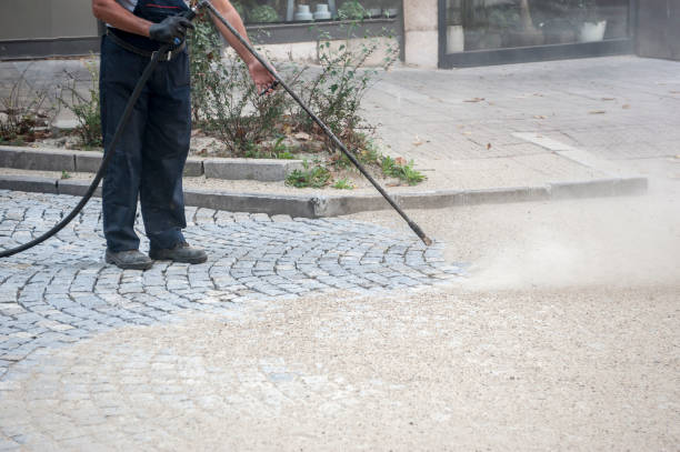 Best Roof Washing  in Fairview, TX